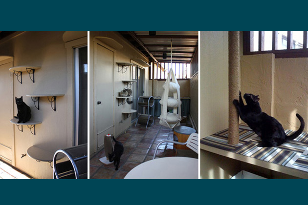 Designer Catio Details