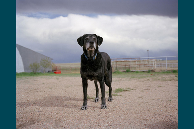 Merlyn, 14 - Otis, Colo.