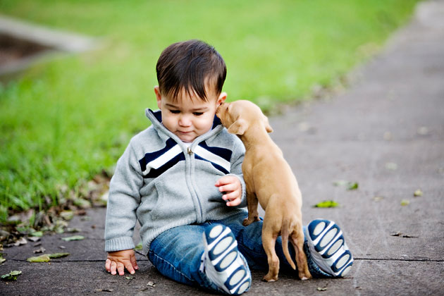 Gauge How Your Puppy Interacts With People