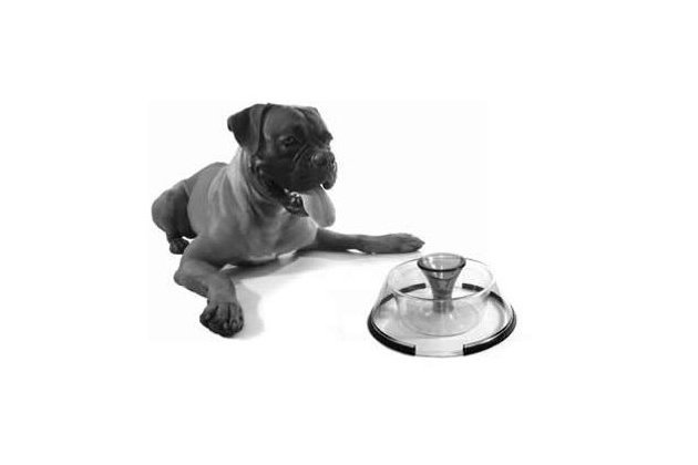 5 Must-Have Health and Wellness Products From Global Pet Expo 2012