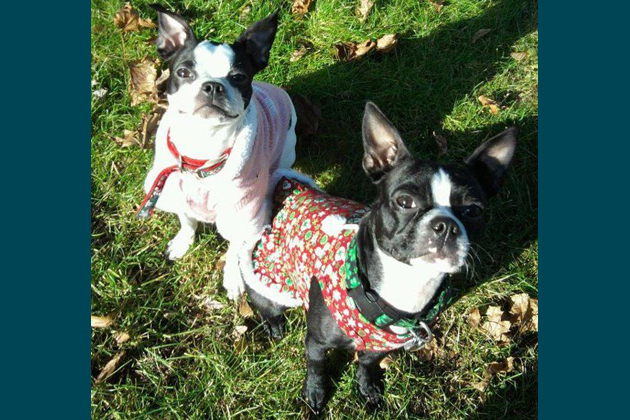 Jovie and Lola