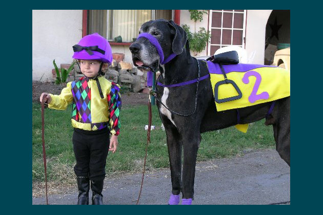 Cute Pet of the Week - September 16, 2011