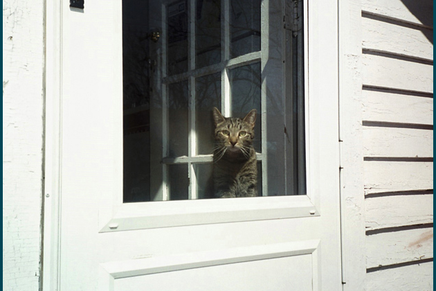 Ferndale, 2005