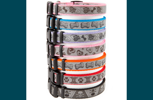 Coastal Pet Products Personalized Reflective Nylon Collars