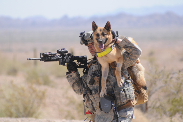 Handlers Leave No Dog Behind