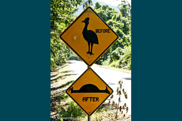 Cassowary Crossing