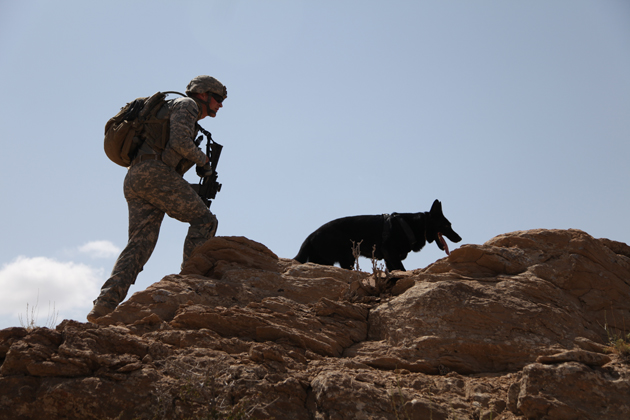 New Book Tells the Story of Soldier Dogs and Their Heroic Handlers