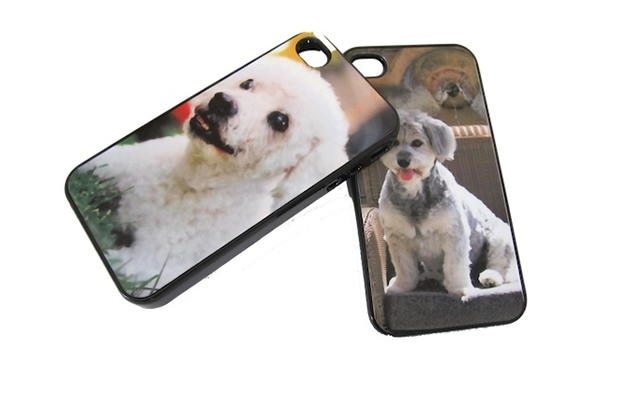 Customized iPhone Cover, Chief Furry Officer