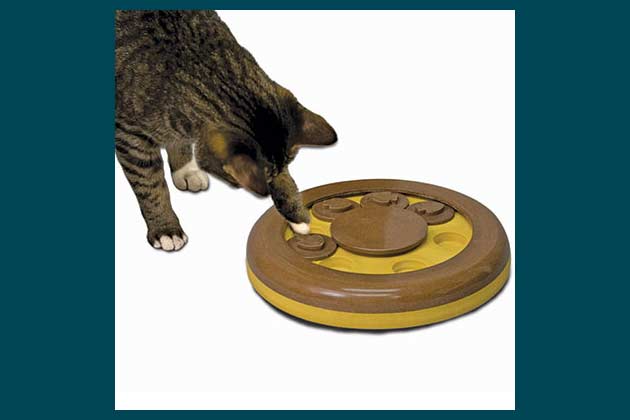 Kit-E-Quiz Feline Treat Puzzle