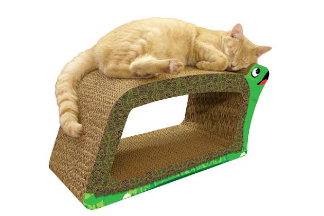 Turtle Scratcher