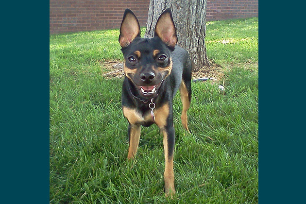 8. Roxie