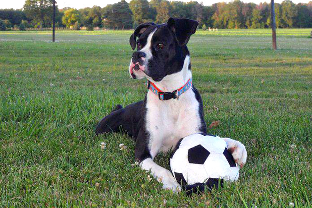 7. Baylee