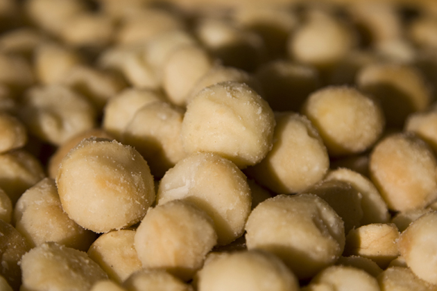Macadamia Nuts