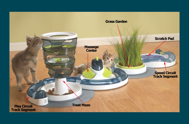 Kitty Activity Center