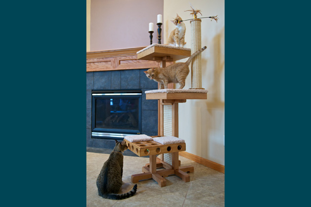 Cat Power Tower
