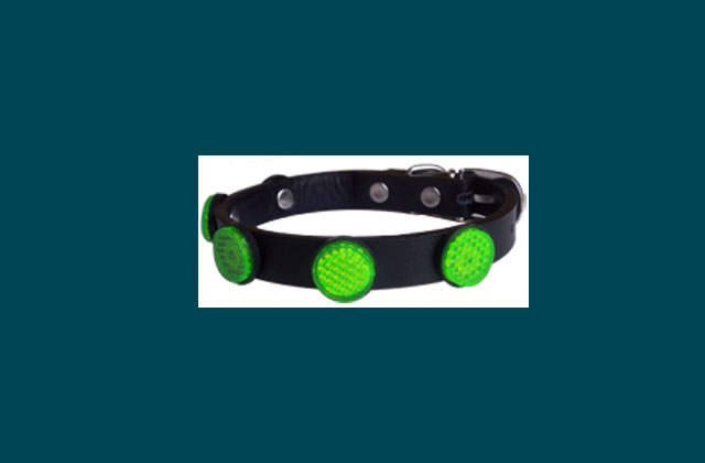 RetroReflector Mini-R Collar