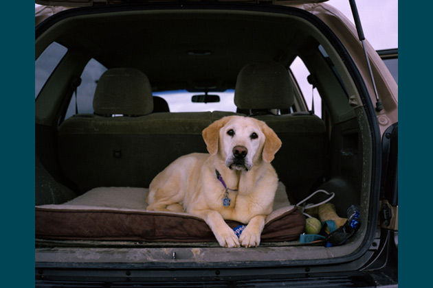 Hoke, 13 - Denver, Colo.