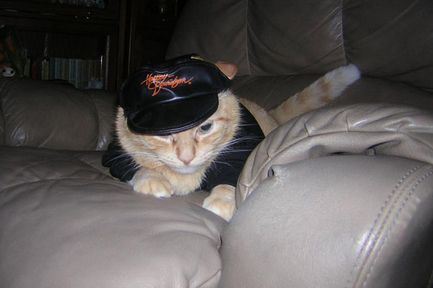 10. Howie in Harley Davidson Gear