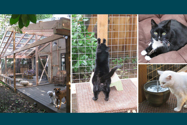 Chloe’s Custom Catio
