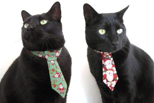 Holiday Neckwear for Cats From Snoop Catty Catt