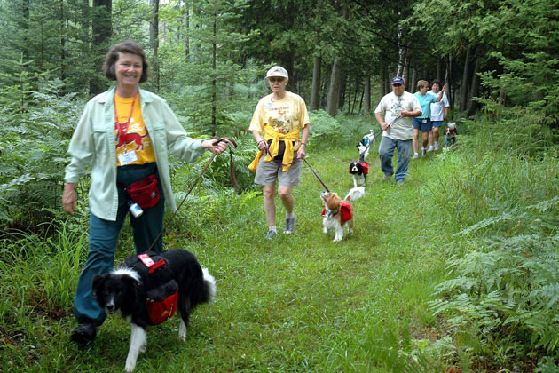 Bark If You Have a Backpacking Badge