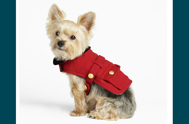 Holiday Riding Coat
