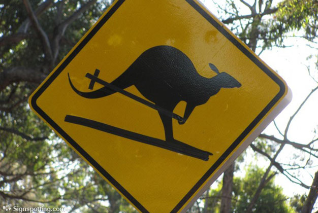 Kangaroo Crossing — While Skiing