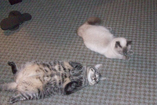Cupkake and Sassy