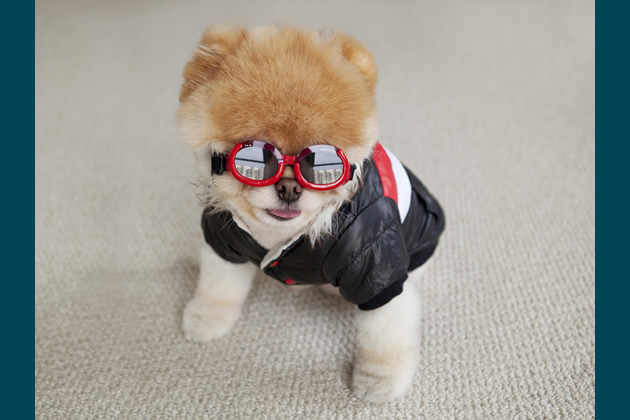 Boo the Rockstar
