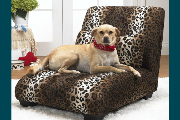 Enchanted Home Pet Elliott Chaise