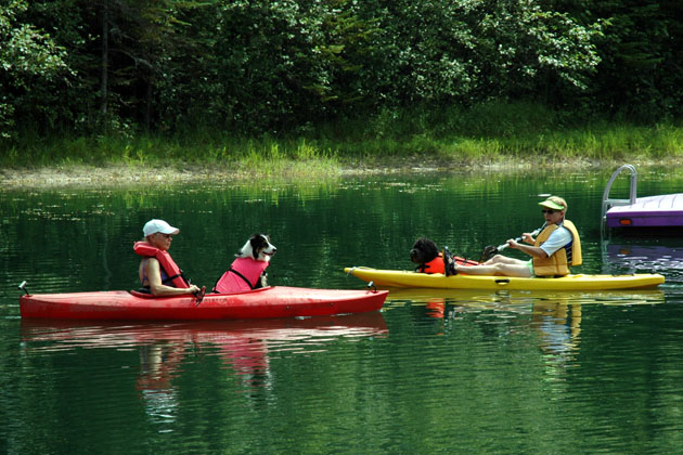 Canines Who Kayak