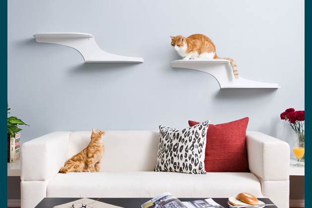 Nine Products to Enrich Your Cat's Life