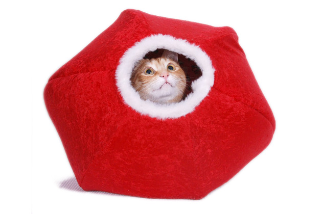 Holiday Cat Ball From Jenna’s Red Rhino