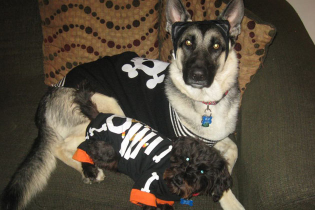 7. Buckley and Griffyn the Skeletons