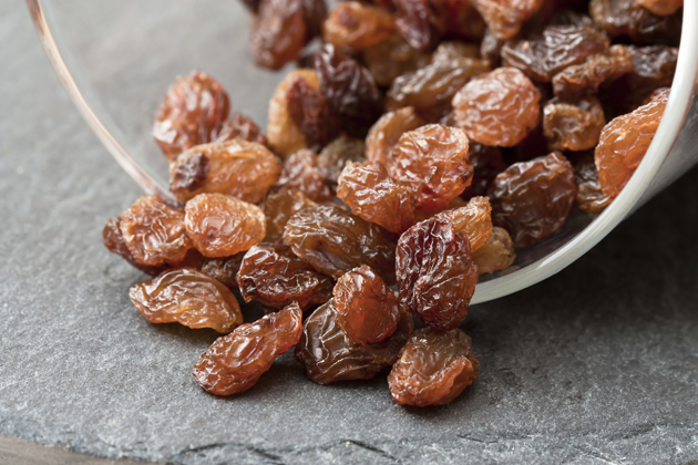 6 Foods You Should Never Feed Your Pet