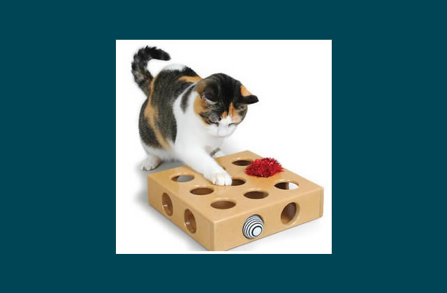 Wooden Peek-n-Play Toy