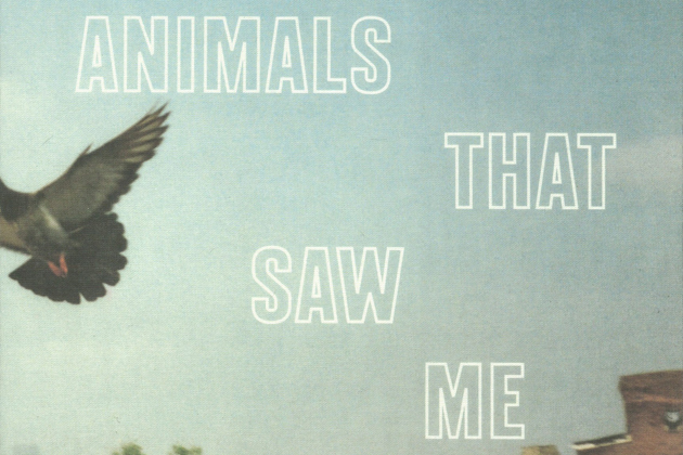 'Animals That Saw Me': a Photo Gallery