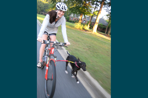 Running Dog Bike Tow Leash