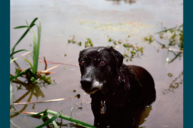 Bailey, 14 - Franklin, Tenn.