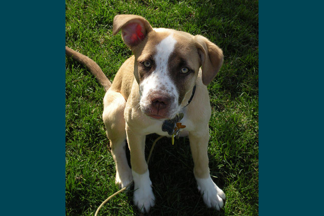 7. Ellie Mae