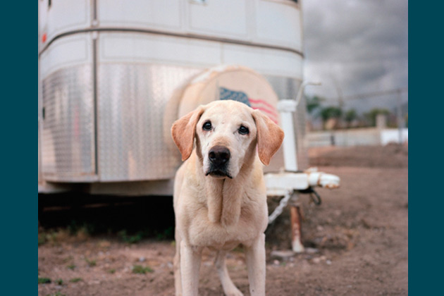 Guinness, 15 - Highland, Calif.
