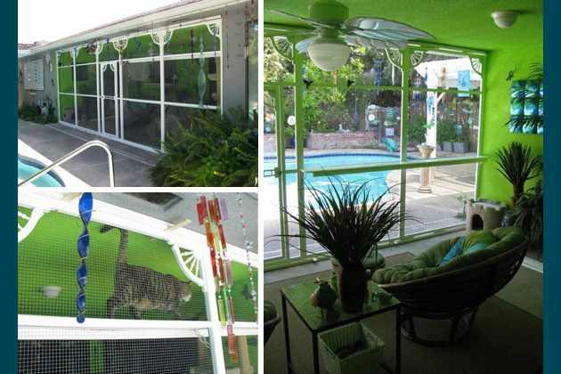 A Colorful California Catio