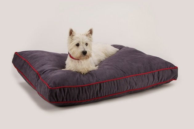 Dog Gone Smart Nanosuede Rectangle Beds