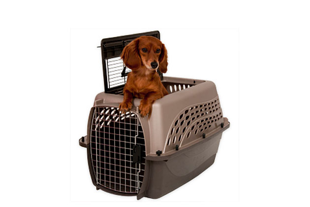 Petmate 2-Door Kennel 