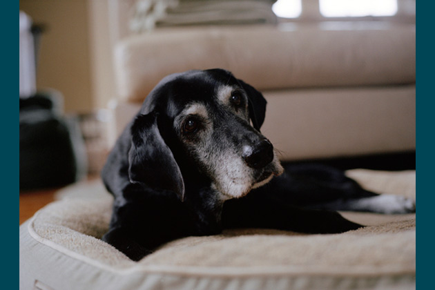 Tara, 16 - Ipswich, Mass.