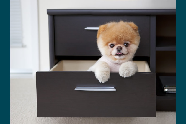 Office Boo