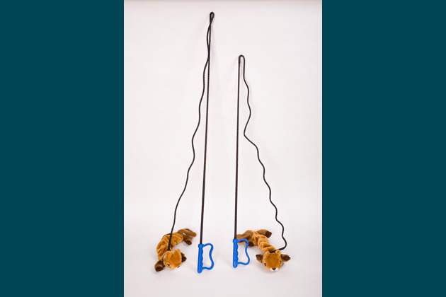 Chase-It Dog Toy