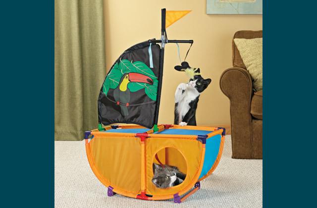 Kitty Pirate Ship