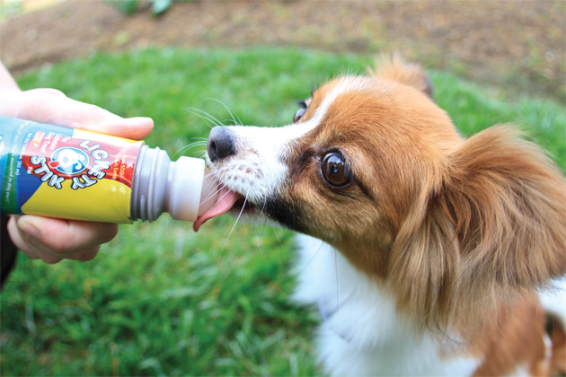 Dr. Marty Becker's Top 30 Pet Products of 2011