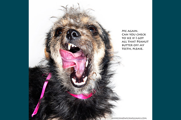 Me Again. Can You Check to See If I Got All That Peanut Butter Off My Teeth, Please.